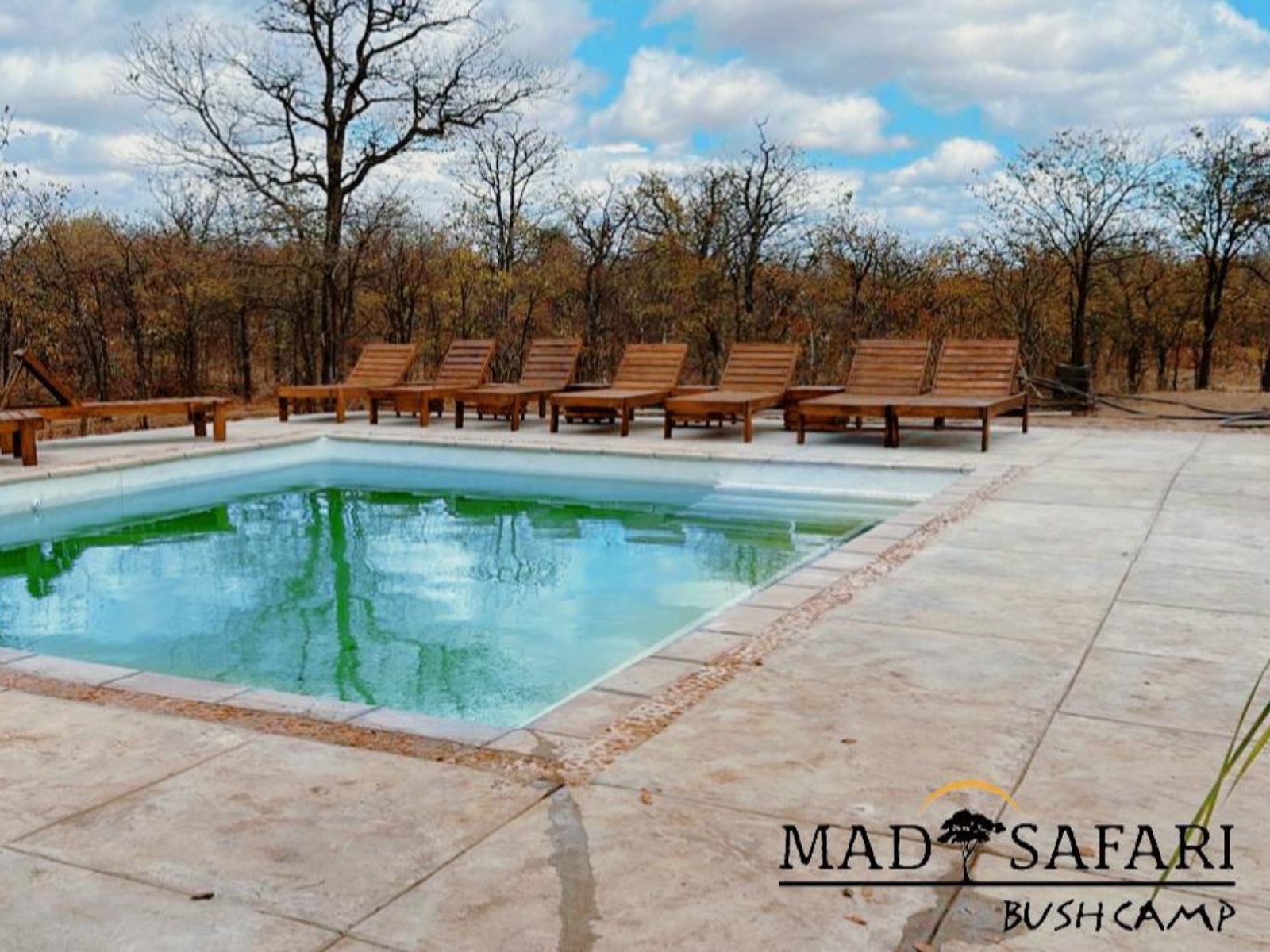 Untitled design (23)